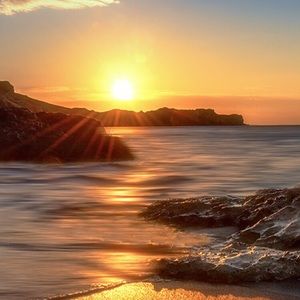 Meet your Posher, Whitney